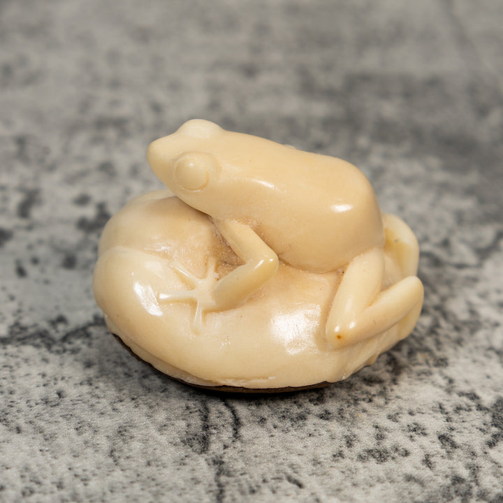 Natural White Rainforest Frog Tagua Carving