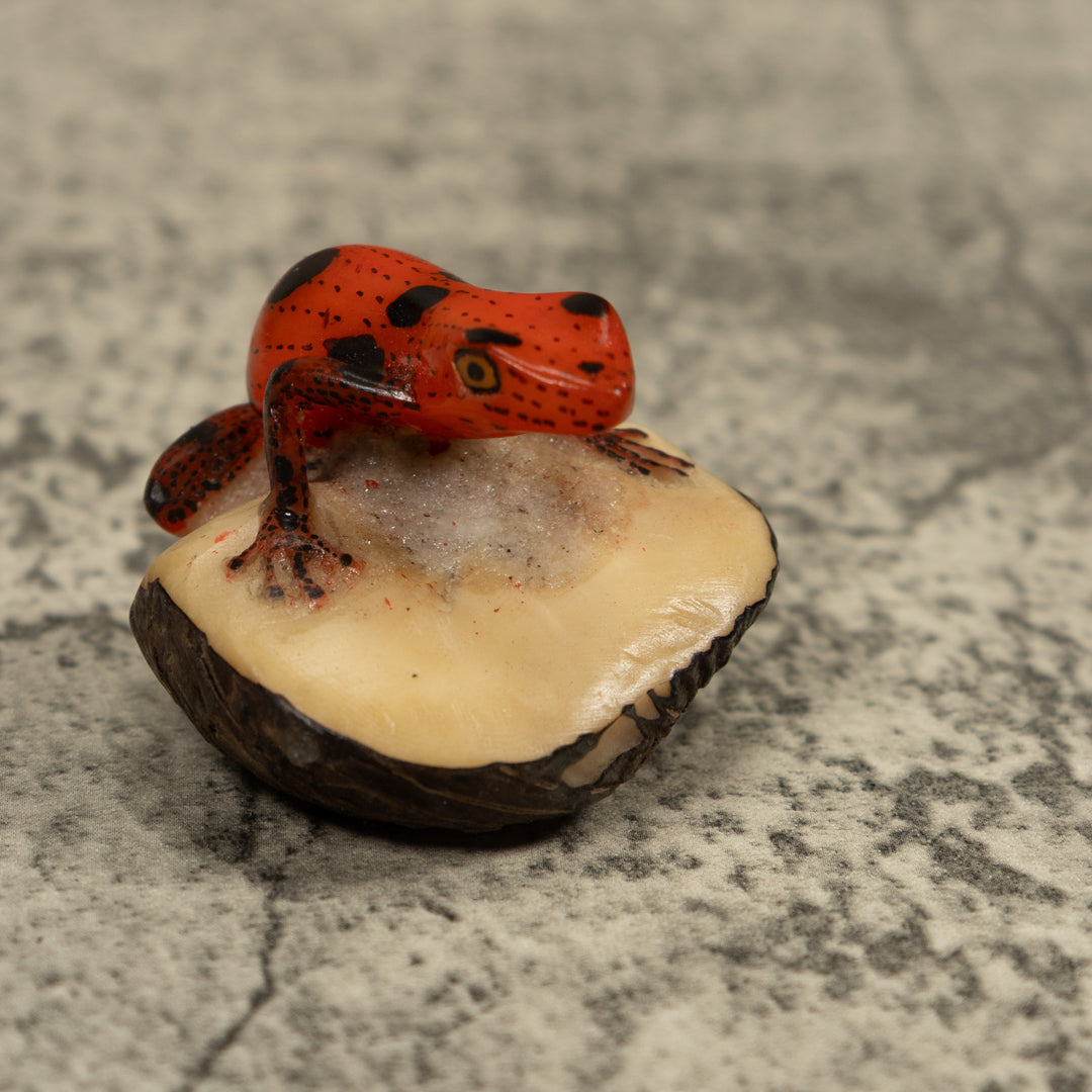Poison Dart Frog Tagua Carving