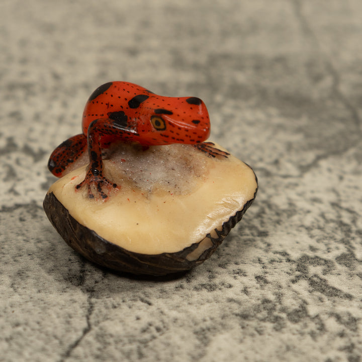Poison Dart Frog Tagua Carving