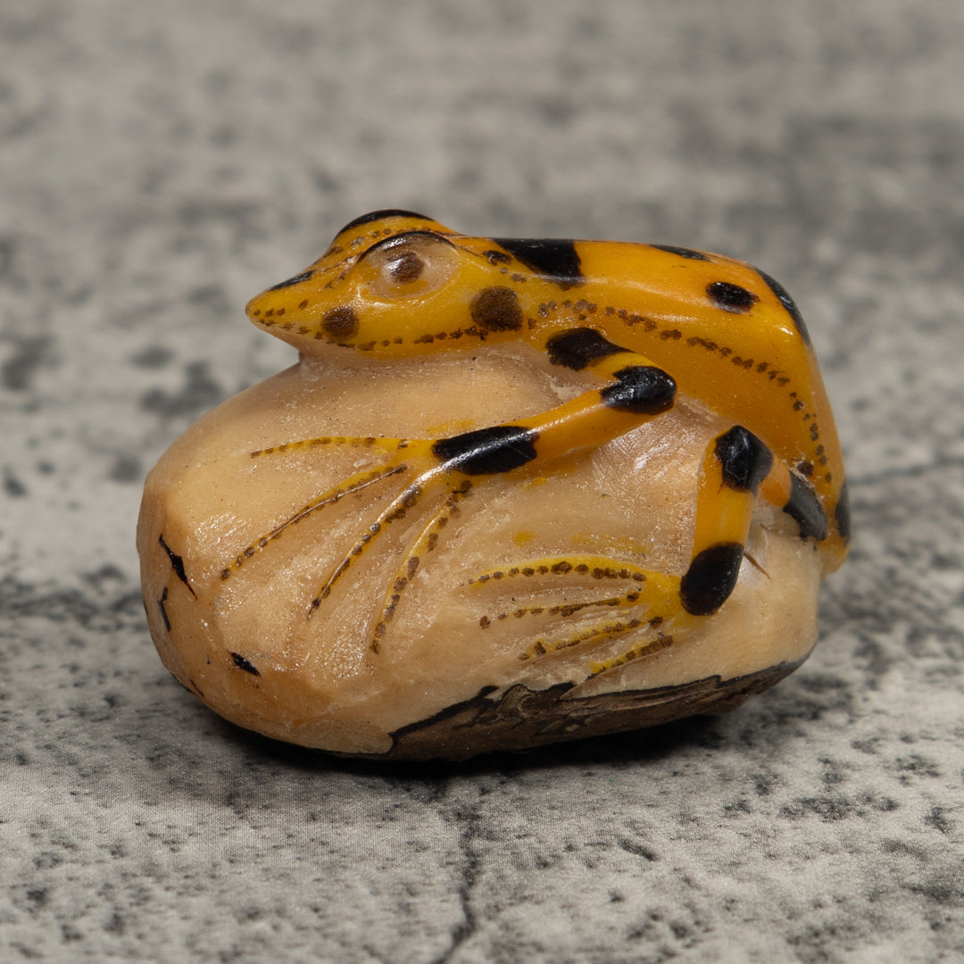 Vintage Golden Frog Tagua Carving