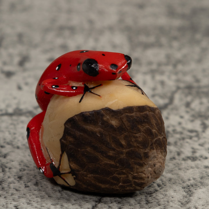Vintage Red Poison Dart Frog Tagua Carving