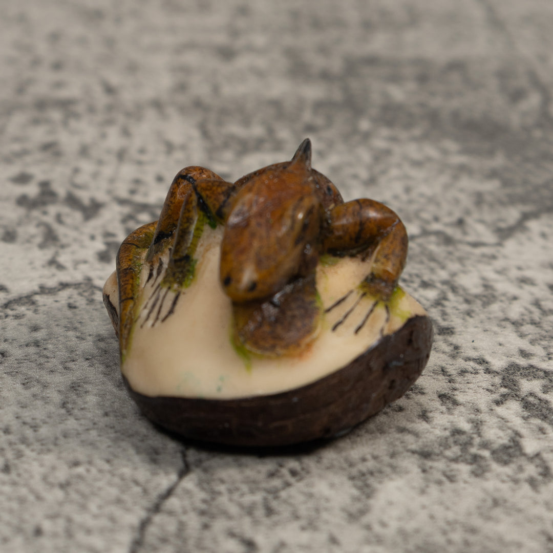 Brown And Black Iguana Lizard Tagua Carving