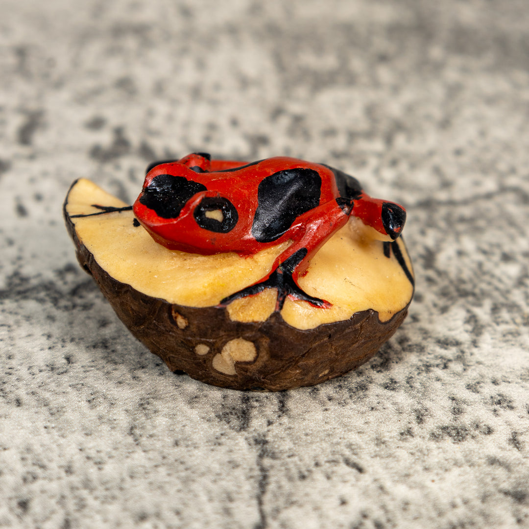 Black And Red Poison Dart Frog Tagua Carving