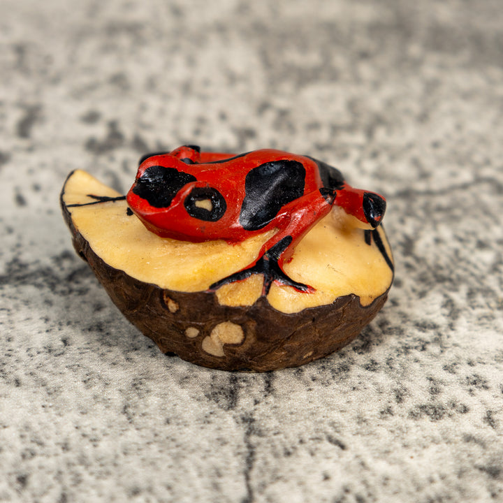 Black And Red Poison Dart Frog Tagua Carving