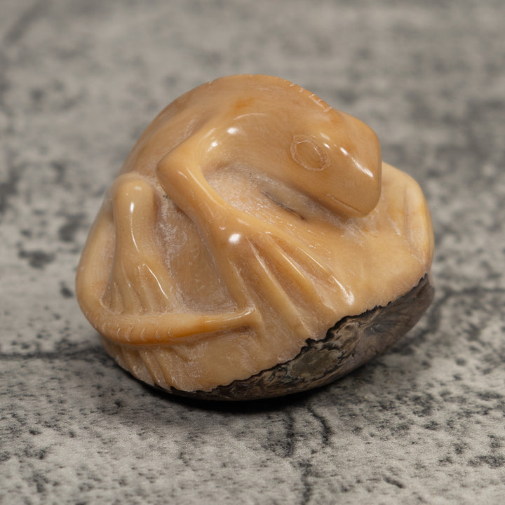 Vintage White Natural Iguana Tagua Carving