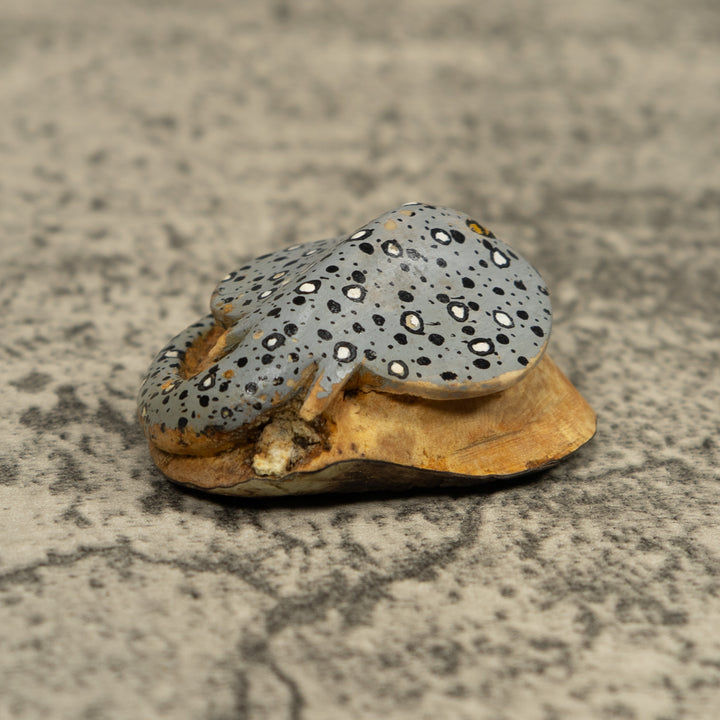 Stingray Fish Ocean Tagua Carving