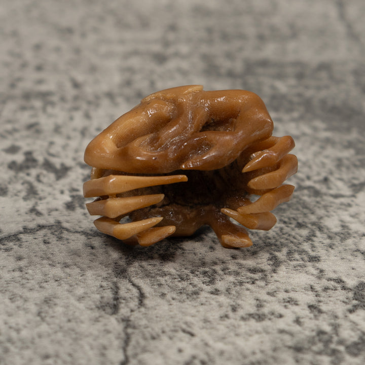 Vintage Crab Tagua Carving