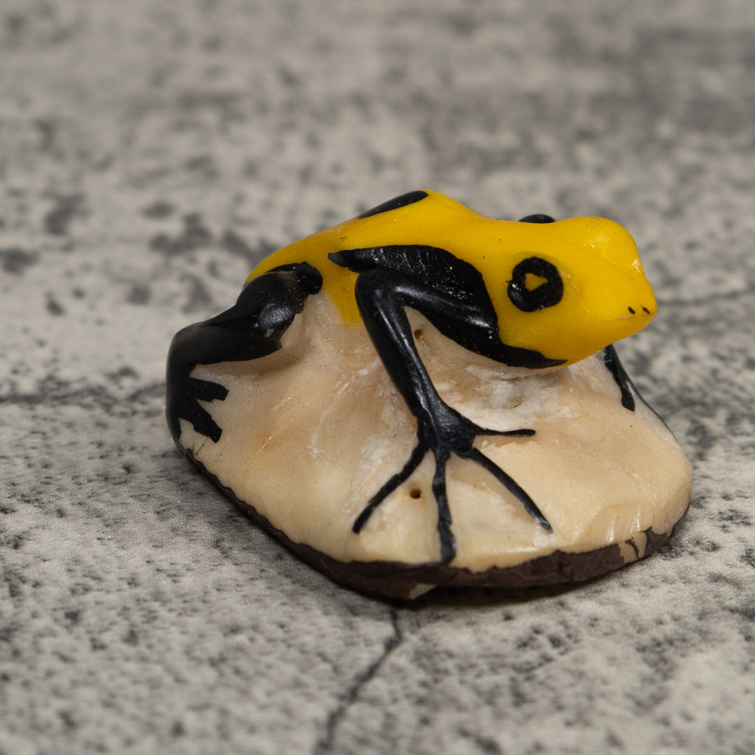 Vintage Black And Yellow Frog Tagua Carving