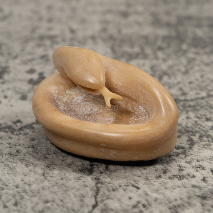 Natural White Snake Tagua Carving