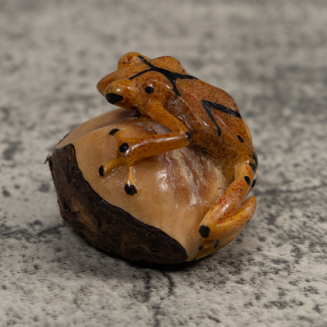 Vintage Poison Dart Frog Tagua Carving