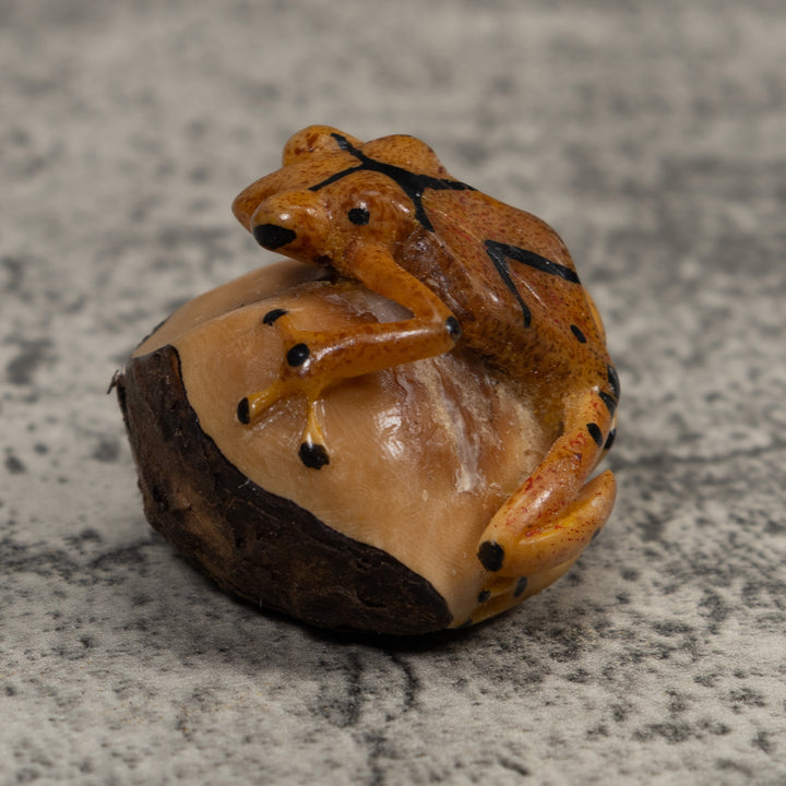 Vintage Poison Dart Frog Tagua Carving