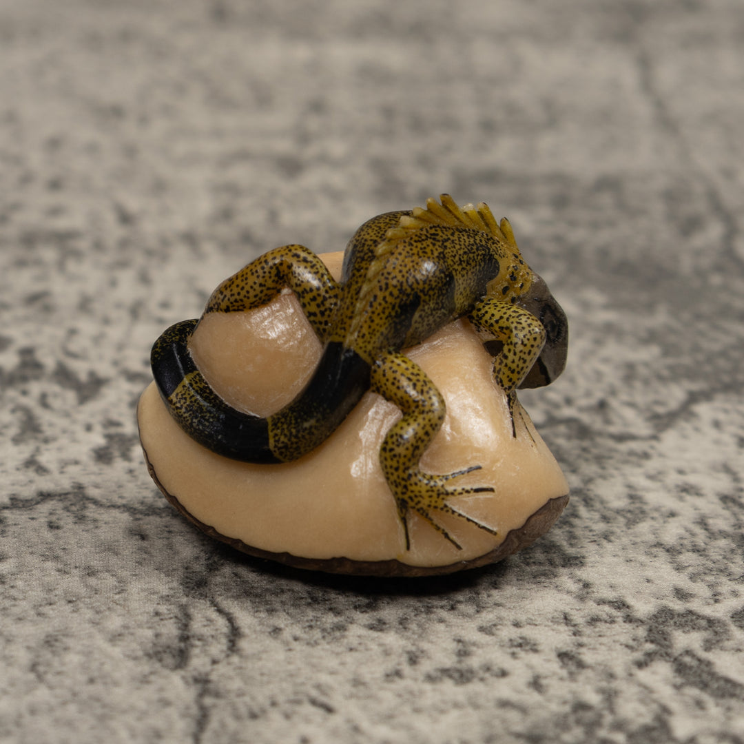 Iguana Lizard Reptile Tagua Carving