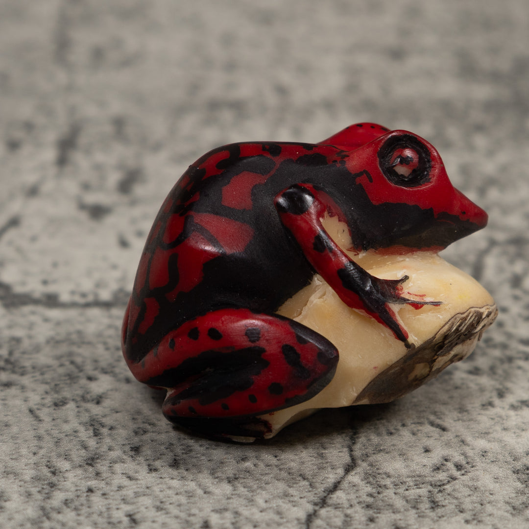 Poison Dart Frog Tagua Carving