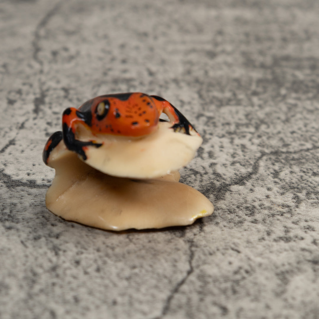 Black And Red Poison Dart Frog Tagua Carving