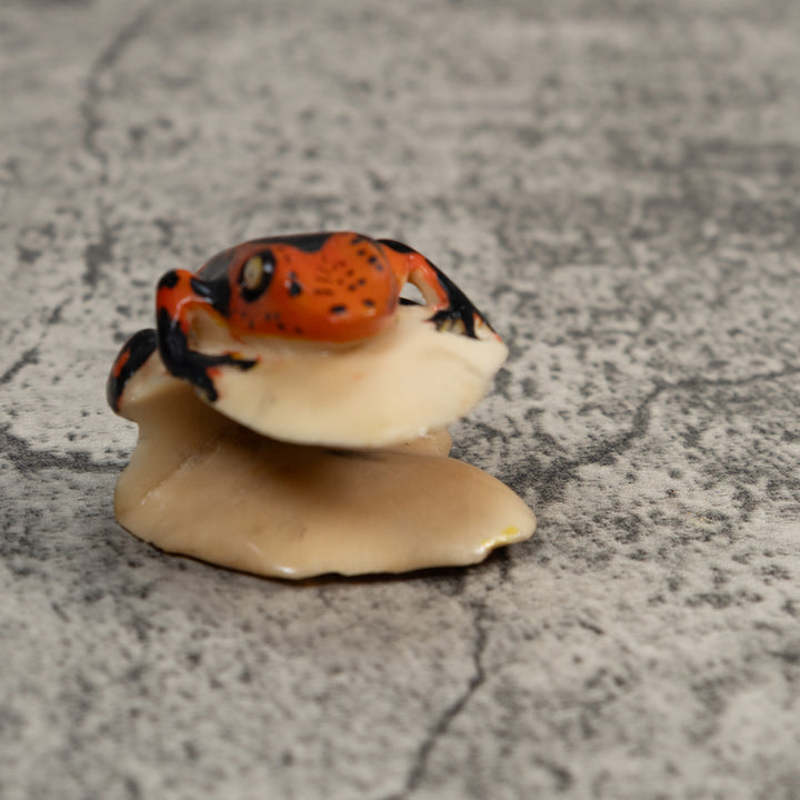 Black And Red Poison Dart Frog Tagua Carving