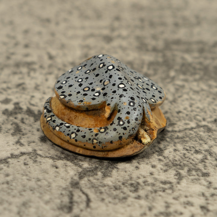 Stingray Fish Ocean Tagua Carving