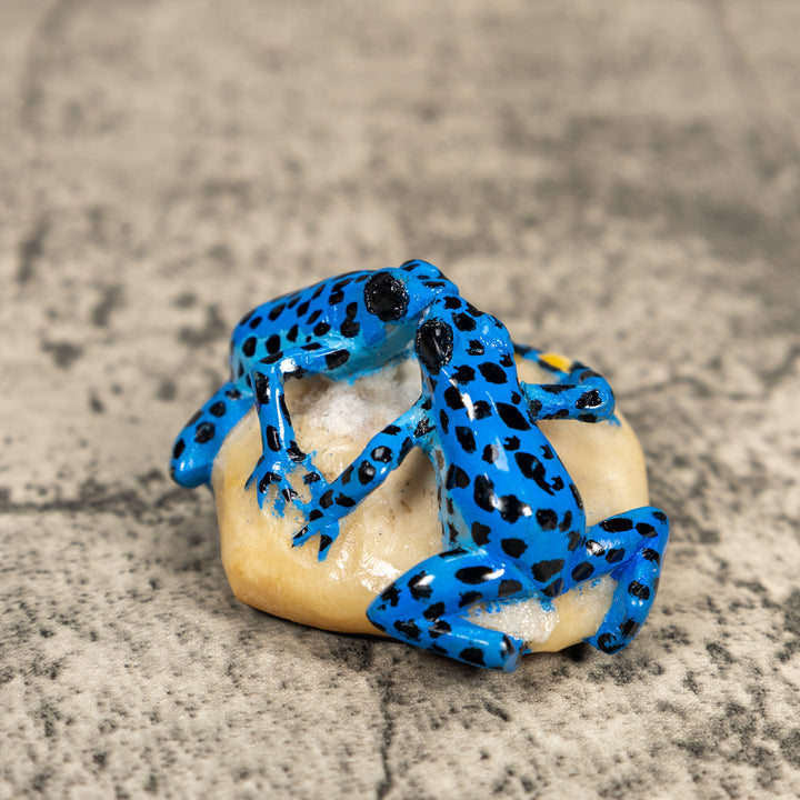 Black And Blue Double Poison Dart Frog Tagua Carving