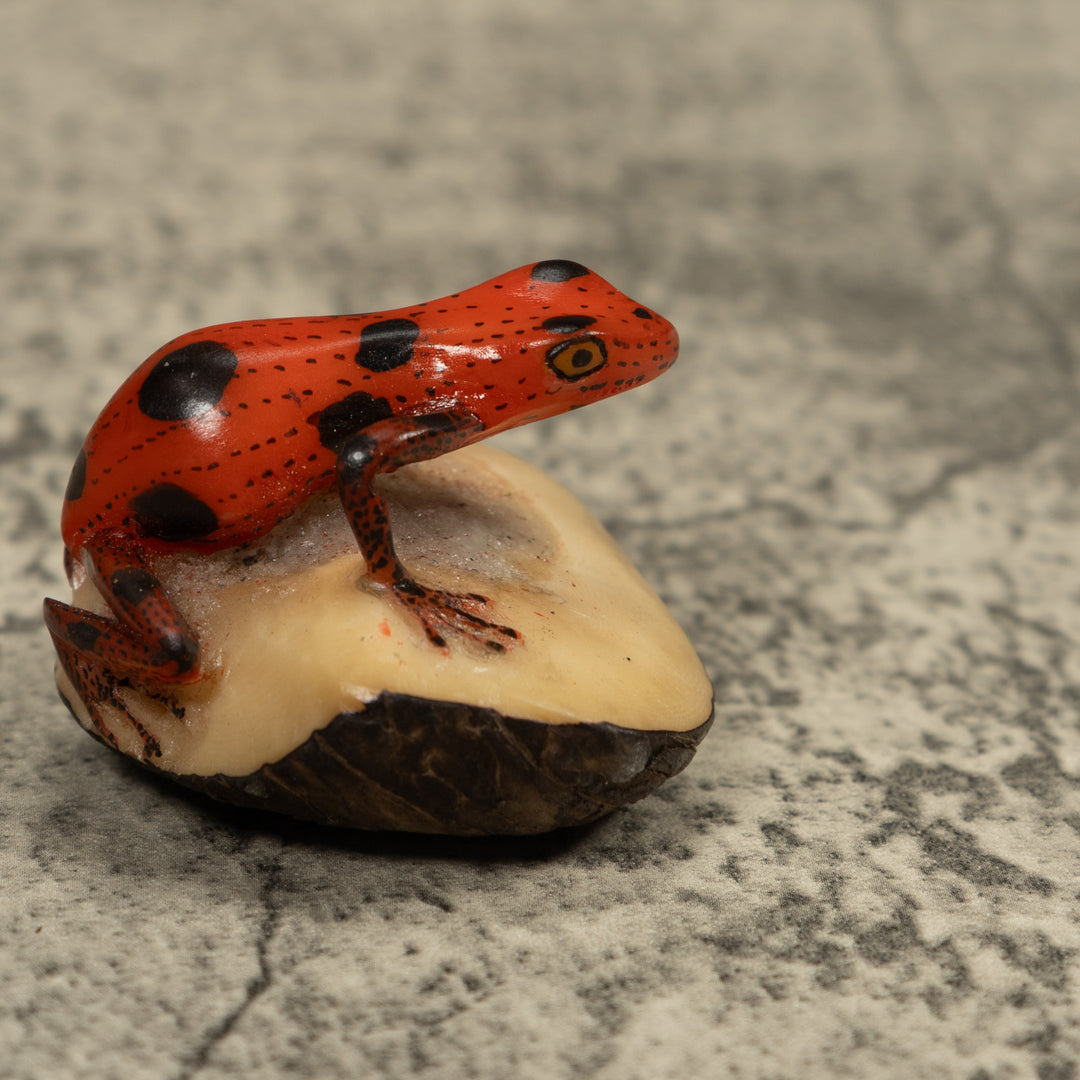 Poison Dart Frog Tagua Carving