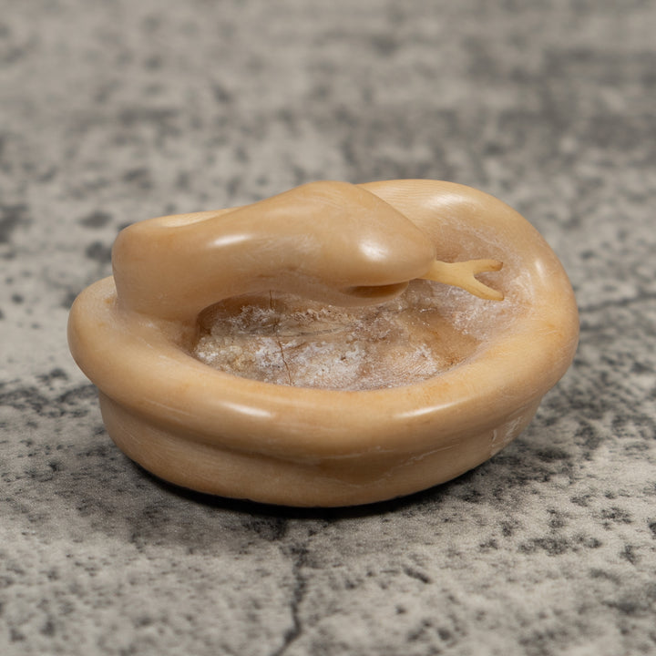 Natural White Snake Tagua Carving