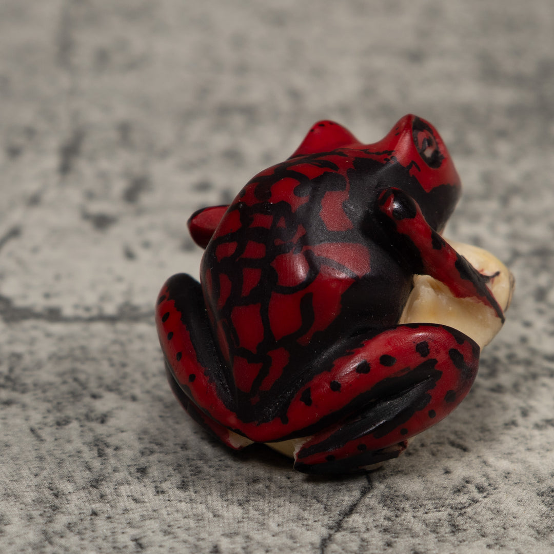 Poison Dart Frog Tagua Carving