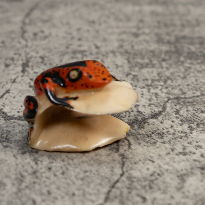 Black And Red Poison Dart Frog Tagua Carving