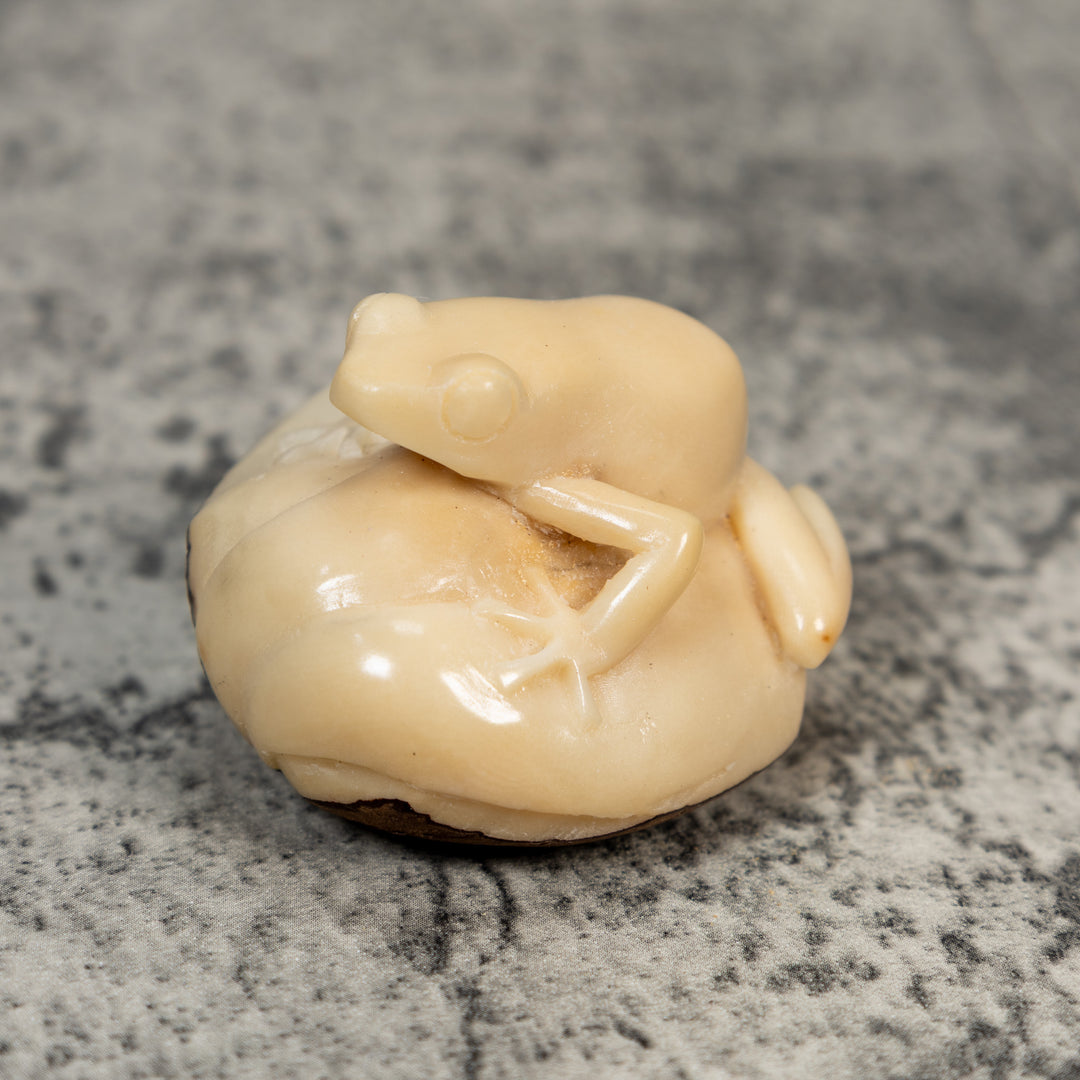 Natural White Rainforest Frog Tagua Carving