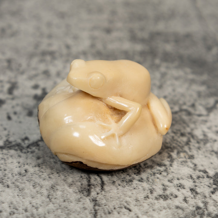 Natural White Rainforest Frog Tagua Carving