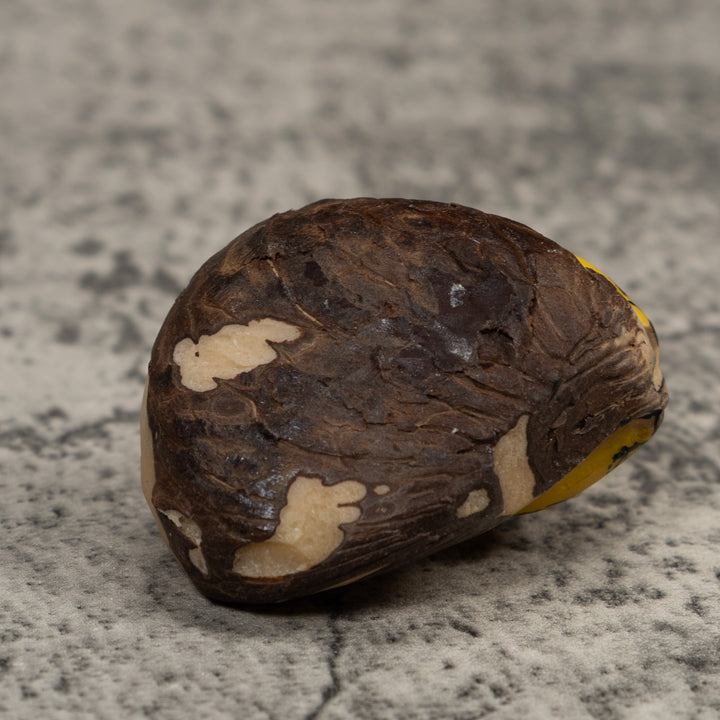 Vintage Red And Yellow Poison Dart Frog Tagua Carving