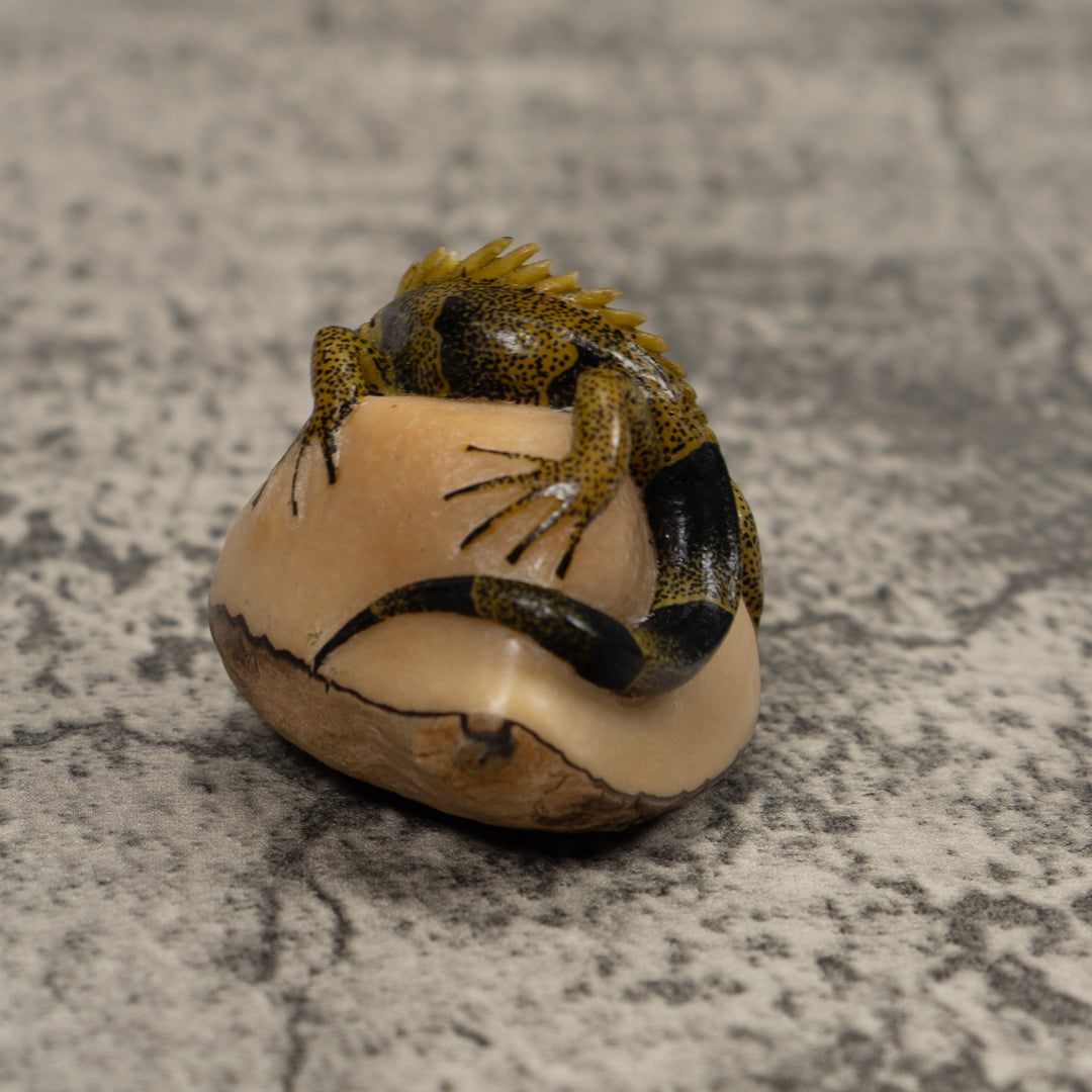 Iguana Lizard Reptile Tagua Carving