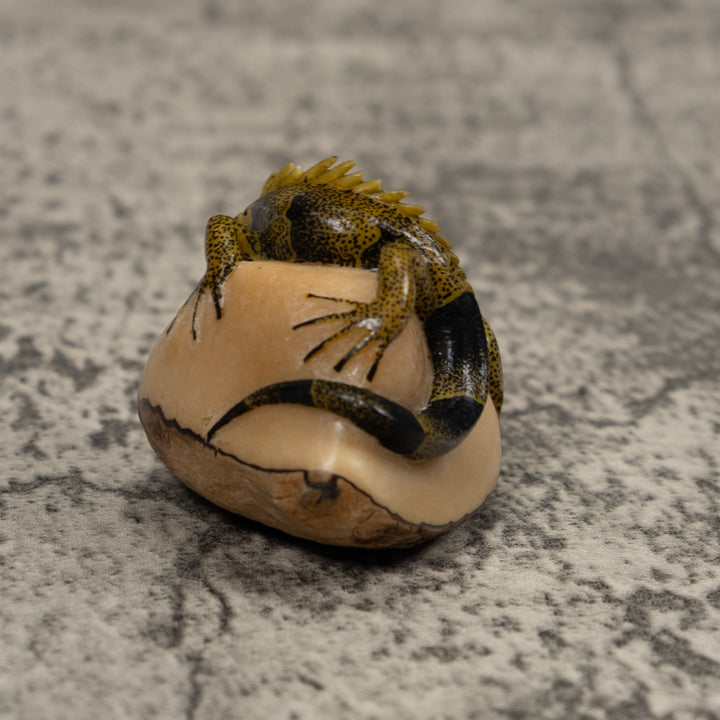 Iguana Lizard Reptile Tagua Carving