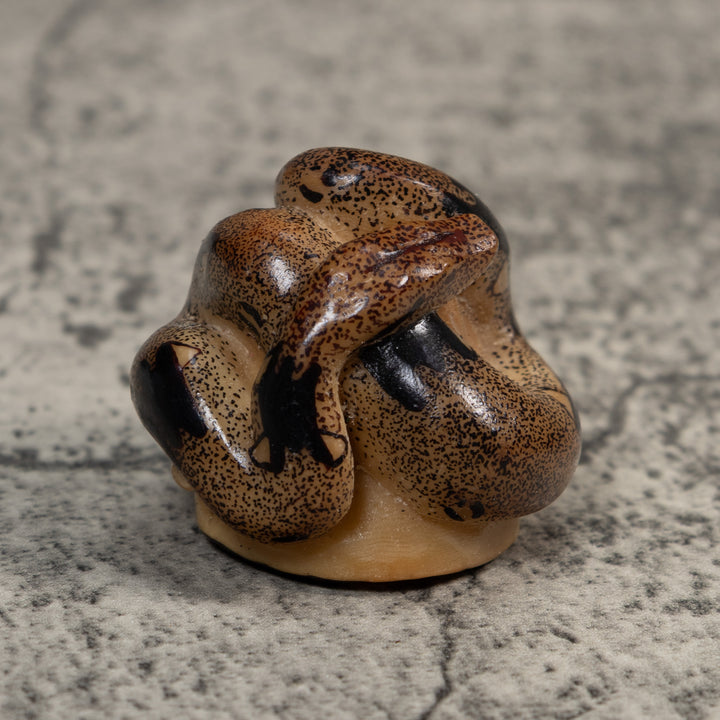 Brown And Black Boa Snake Tagua Carving