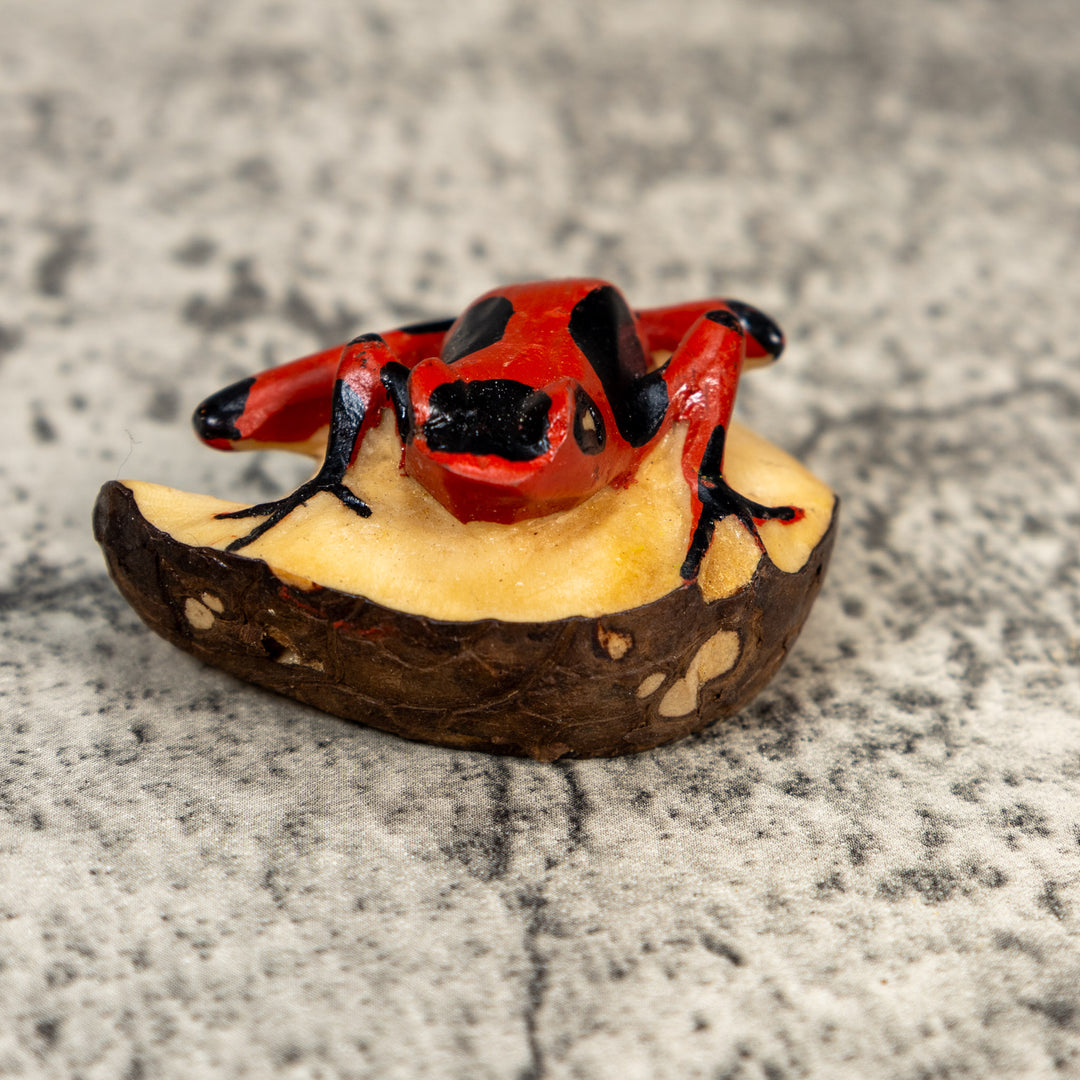 Black And Red Poison Dart Frog Tagua Carving