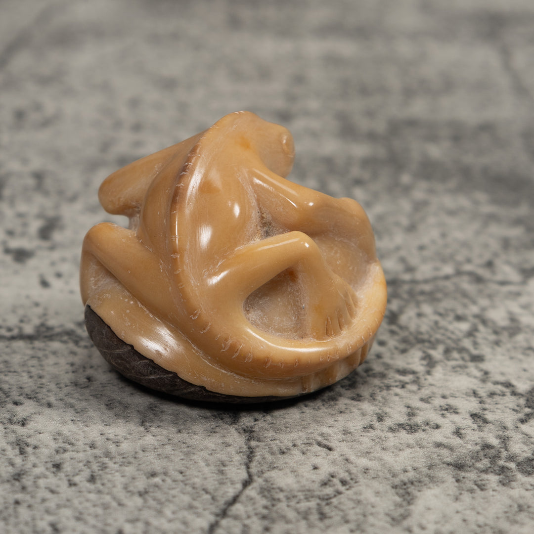 Vintage White Natural Iguana Tagua Carving