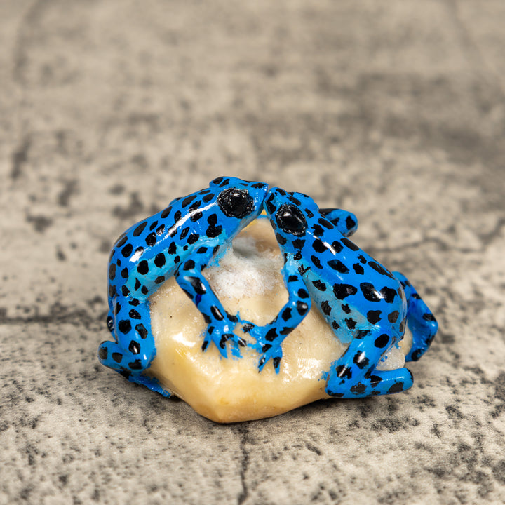 Black And Blue Double Poison Dart Frog Tagua Carving