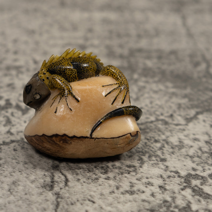 Iguana Lizard Reptile Tagua Carving