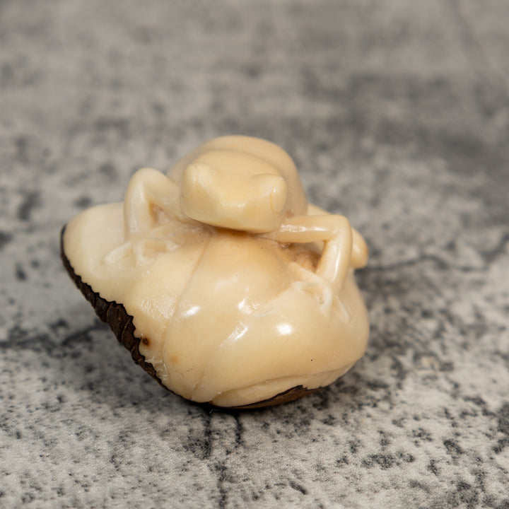 Natural White Rainforest Frog Tagua Carving