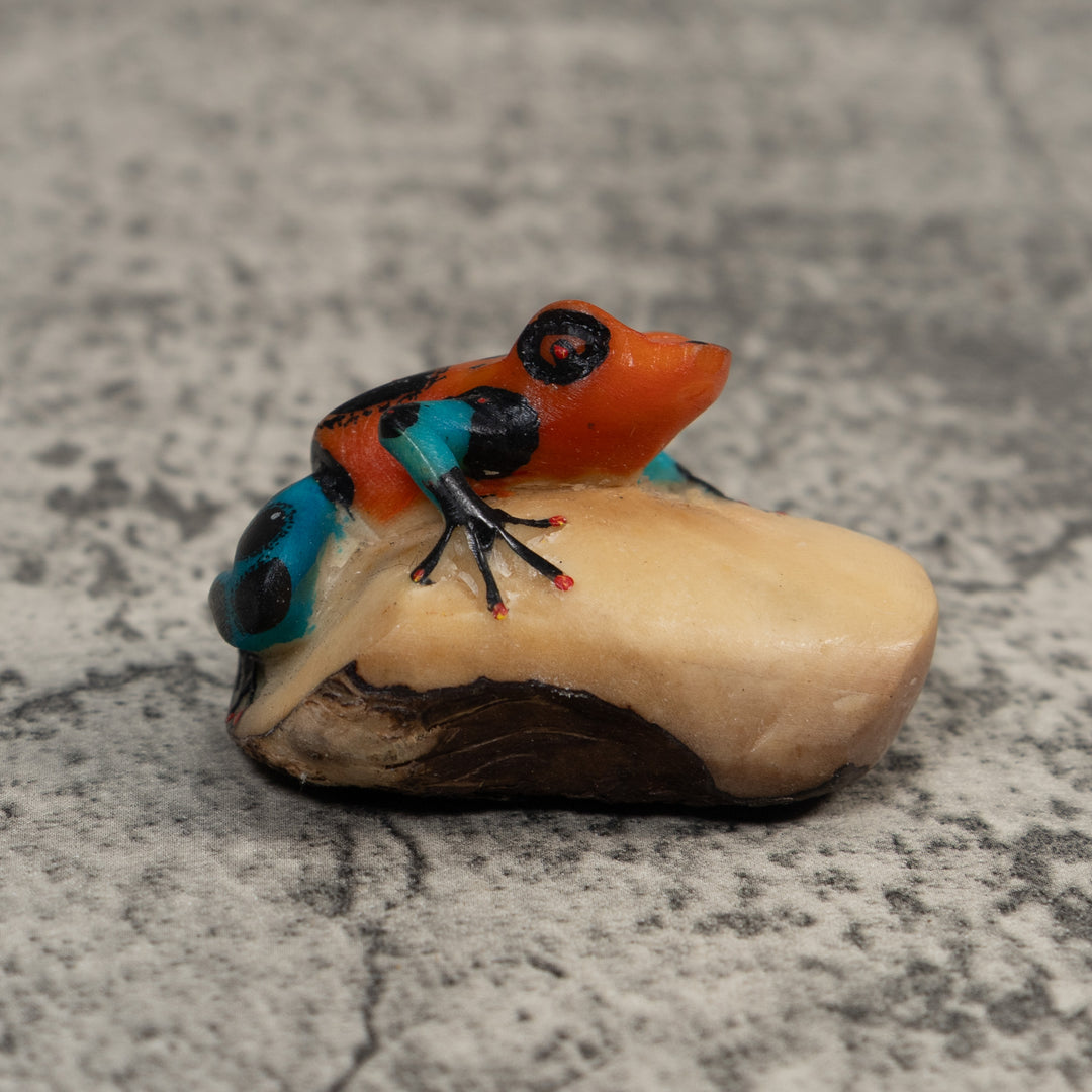 Red Blue And Black Poison Dart Frog Tagua Carving
