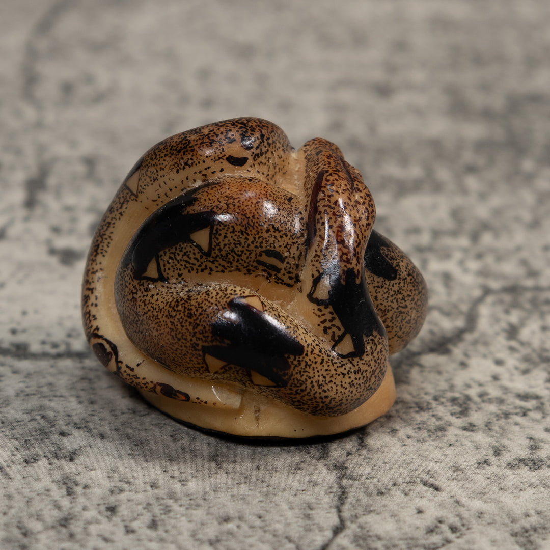 Brown And Black Boa Snake Tagua Carving