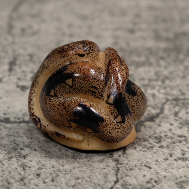 Brown And Black Boa Snake Tagua Carving