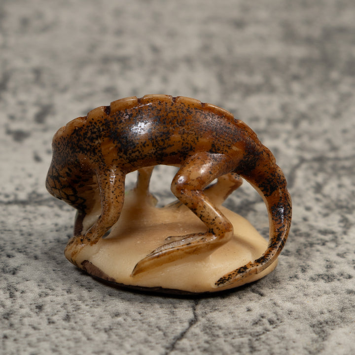 Vintage Black And Brown Iguana Lizard Tagua Carving