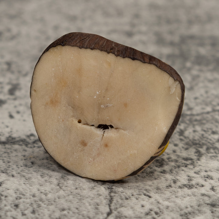 Vintage Black And Yellow Frog Tagua Carving