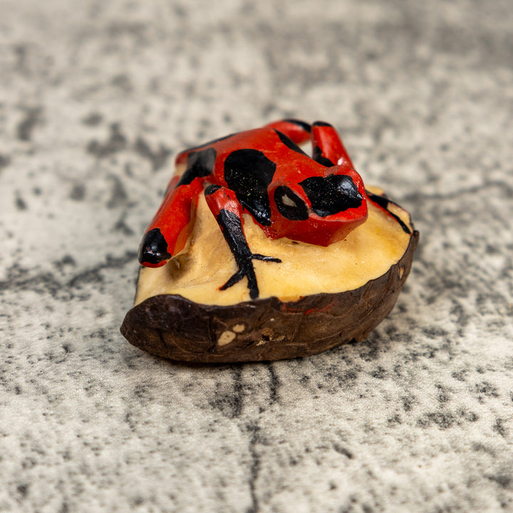 Black And Red Poison Dart Frog Tagua Carving