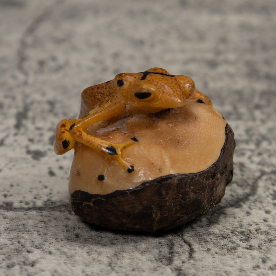 Vintage Poison Dart Frog Tagua Carving