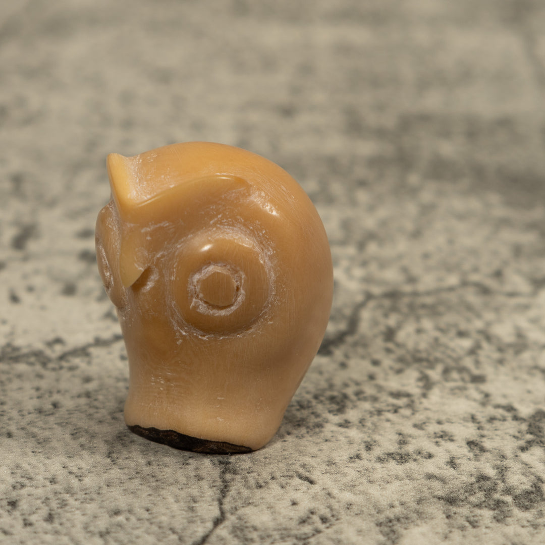 Vintage Natural White Owl Bird Tagua Carving