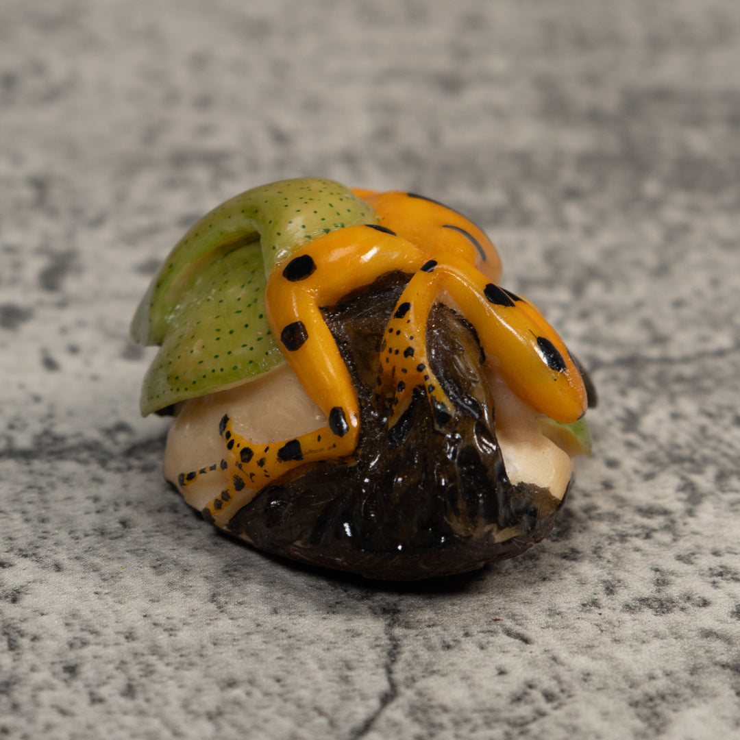 Gold Black And Green Poison Dart Frog Tagua Carving