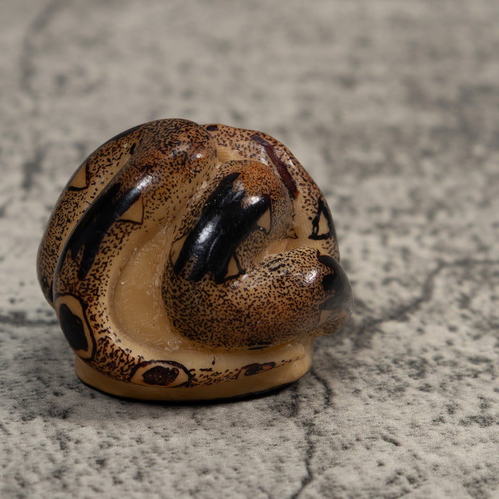 Brown And Black Boa Snake Tagua Carving