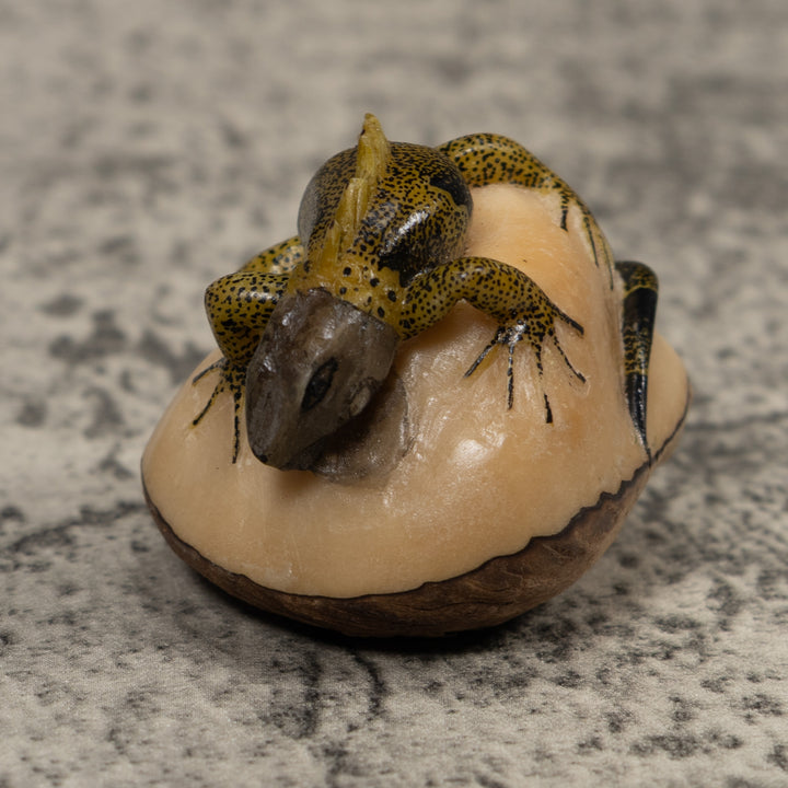 Iguana Lizard Reptile Tagua Carving
