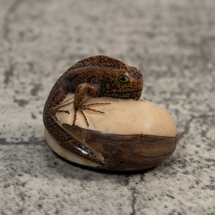 Brown And Black Gecko Lizard Tagua Carving
