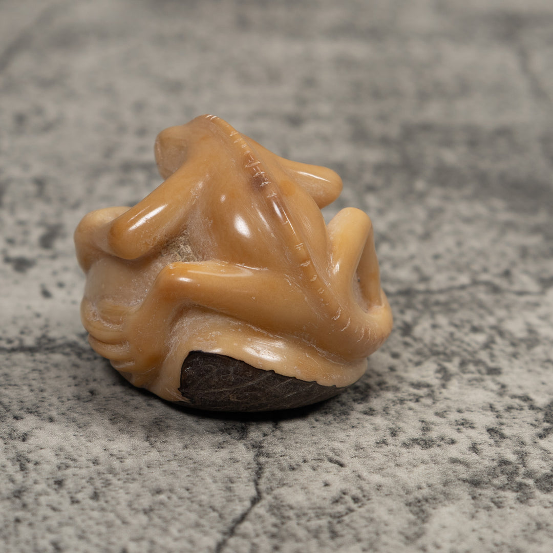 Vintage White Natural Iguana Tagua Carving