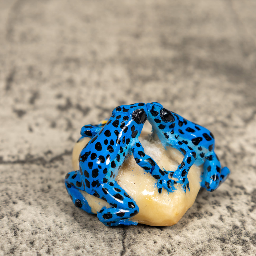 Black And Blue Double Poison Dart Frog Tagua Carving